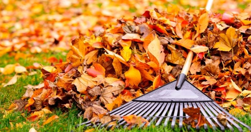 How to Use a Leaf Mulcher