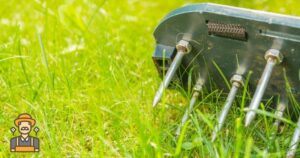 how to aerate your lawn - featured image