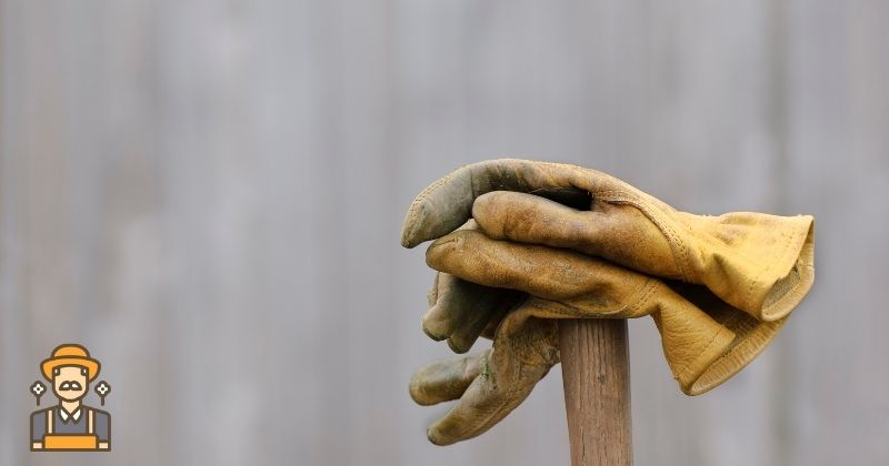 What Kind of Gloves are Best for Gardening
