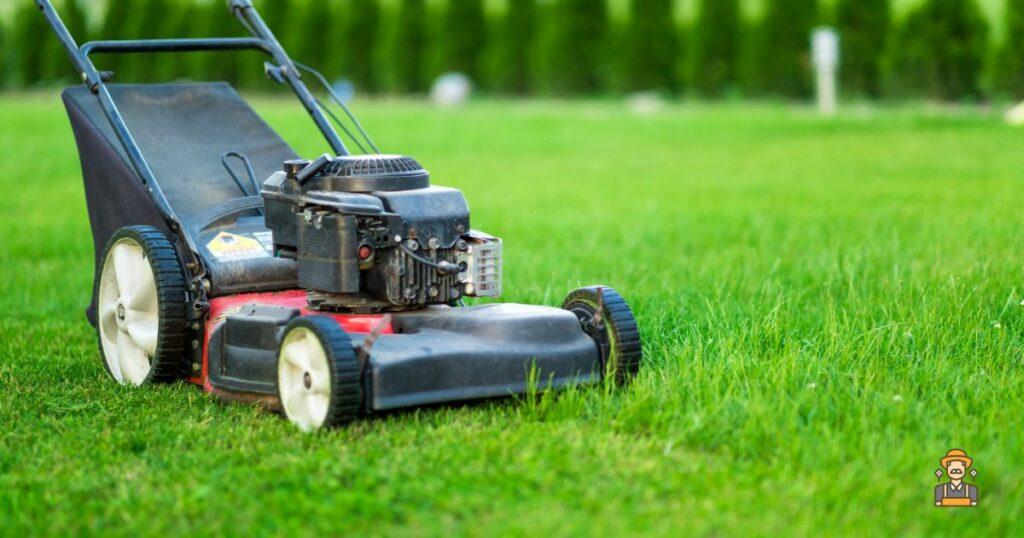 How to Maintain a Lawn Mower: Gas Mowers