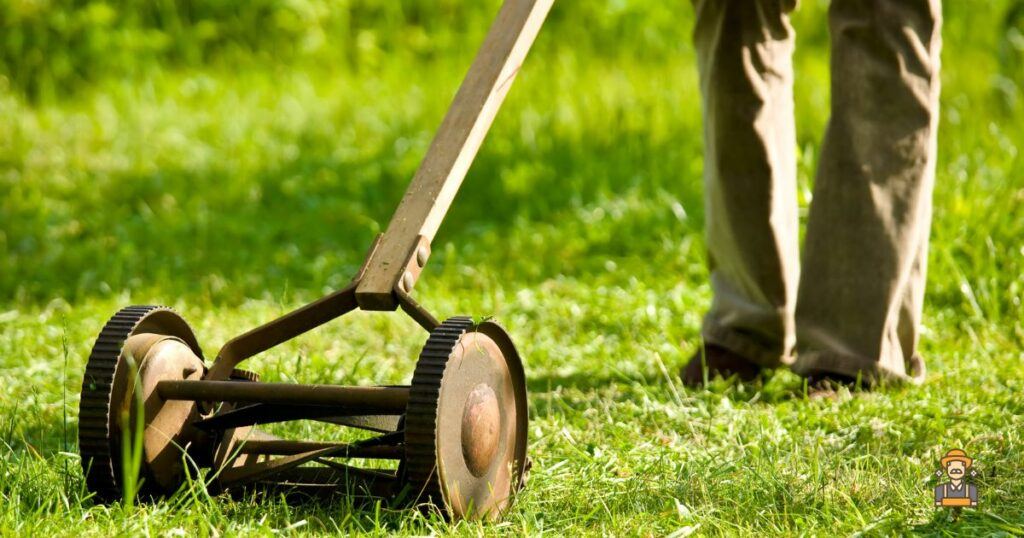 How to Maintain a Lawn Mower: Push Mowers